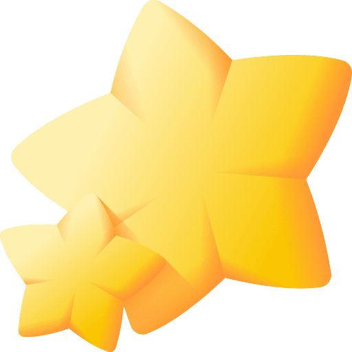 PAYSTARS